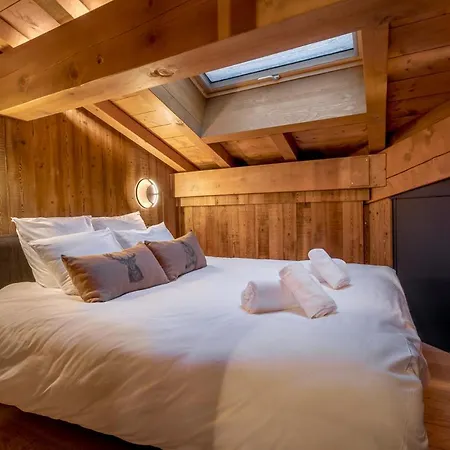 Duplex Avec Sauna Et Vue Mont Blanc Au Centre De Διαμέρισμα